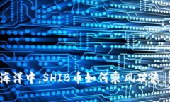 “在数字货币的海洋中，