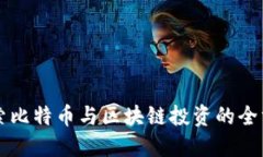 深入探索比特币与区块链投资的全方位指南