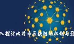 深入探讨比特币区块链的