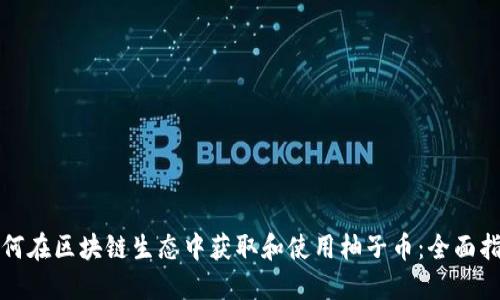 如何在区块链生态中获取和使用柚子币：全面指南