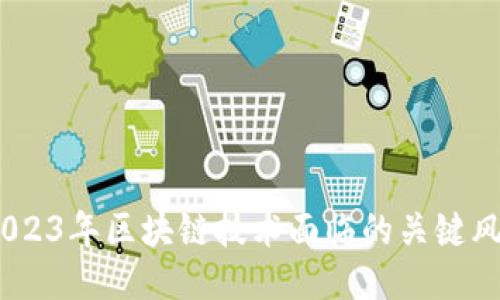 识别与管理：2023年区块链技术面临的关键风险与应对策略