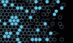 区块链投资热潮：为何绝大多数人只跟随少数人